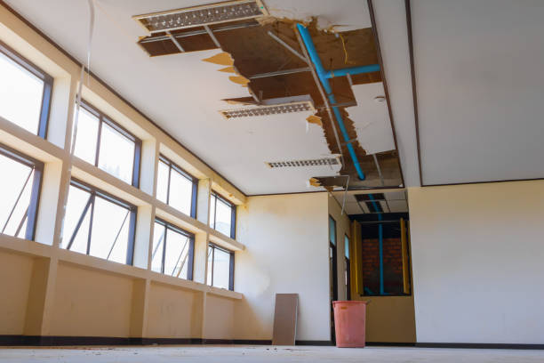 Best Commercial Water Damage Restoration in USA