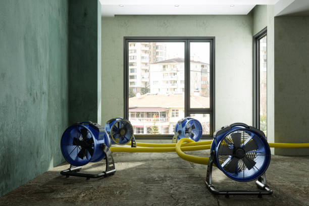 Best Wood Floor Water Damage Restoration in USA